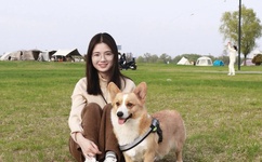 杨幂的qq号是多少 要真的